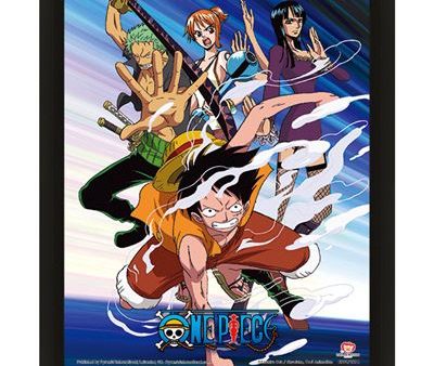 Poster 3D One Piece - Straw Hat Pirates Online Sale